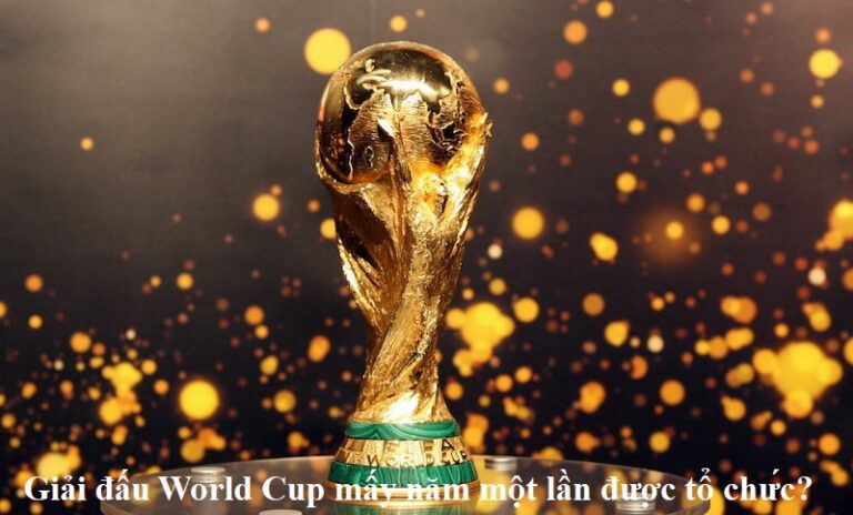 giai-dau-world-cup-may-nam-mot-lan-duoc-to-chuc