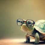 Giấc mơ thấy rùa thường gắn với sự bình an, kiên trì và những thay đổi chậm nhưng bền vững. 