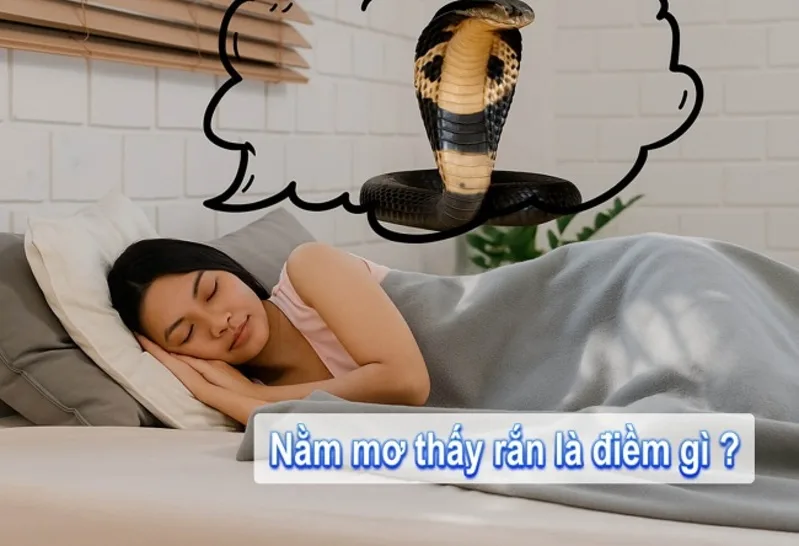 Hình ảnh rắn trong giấc mơ thường được liên hệ với sự thay đổi, cảnh giác và bản năng tự vệ.