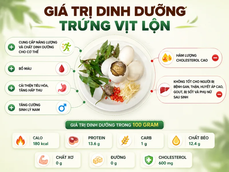 Khi ăn với lượng phù hợp, hột vịt lộn có thể bổ sung protein, năng lượng và một số vi chất cho khẩu phần hằng ngày.