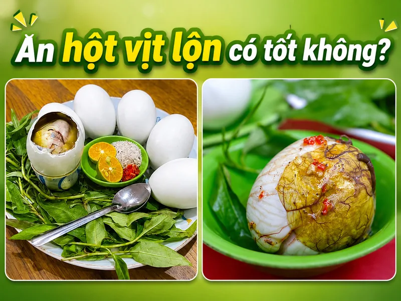 Ăn hột vịt lộn có tốt không còn phụ thuộc vào khẩu phần, nhưng món ăn này có thể cung cấp protein, chất béo và một số vitamin, khoáng chất.