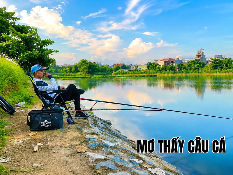 Đi câu cá trong mơ có thể phản ánh sự kiên nhẫn và quá trình chờ đợi một kết quả phù hợp.