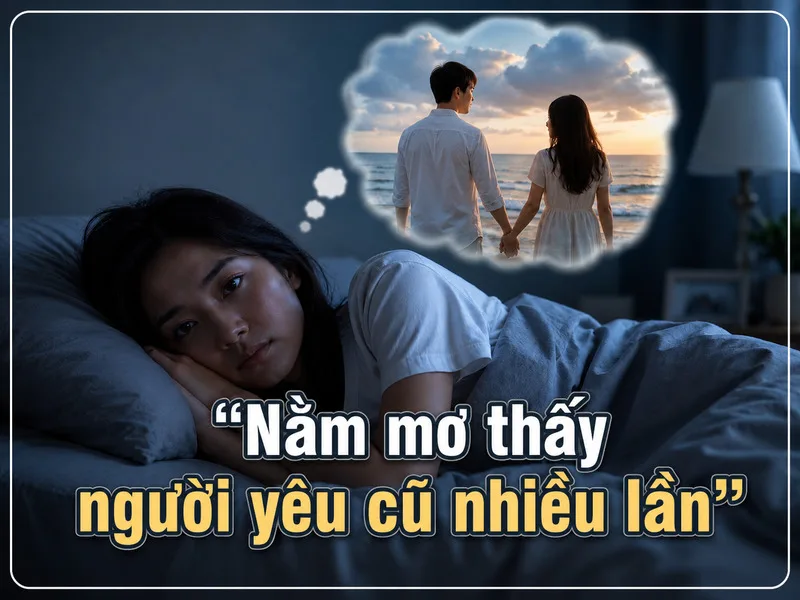 Nằm mơ thấy người yêu cũ nhiều lần có thể liên quan đến ký ức, cảm xúc và những trải nghiệm tình cảm còn lưu lại trong tiềm thức.